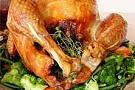 Thanksgiving kalkon