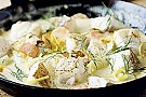 Panna pÃ¥ torsk med fänkÃ¥l och citron